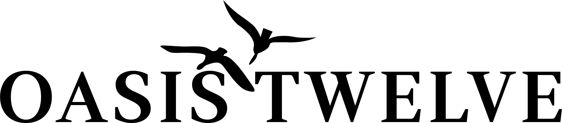 oasis twelve logo